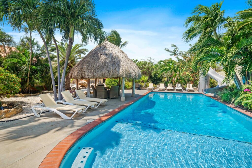 Private pool with loungers, water slide and palapa