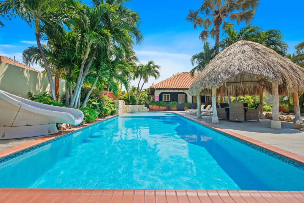 Villa Nirvana swimming pool with palapa and water slide