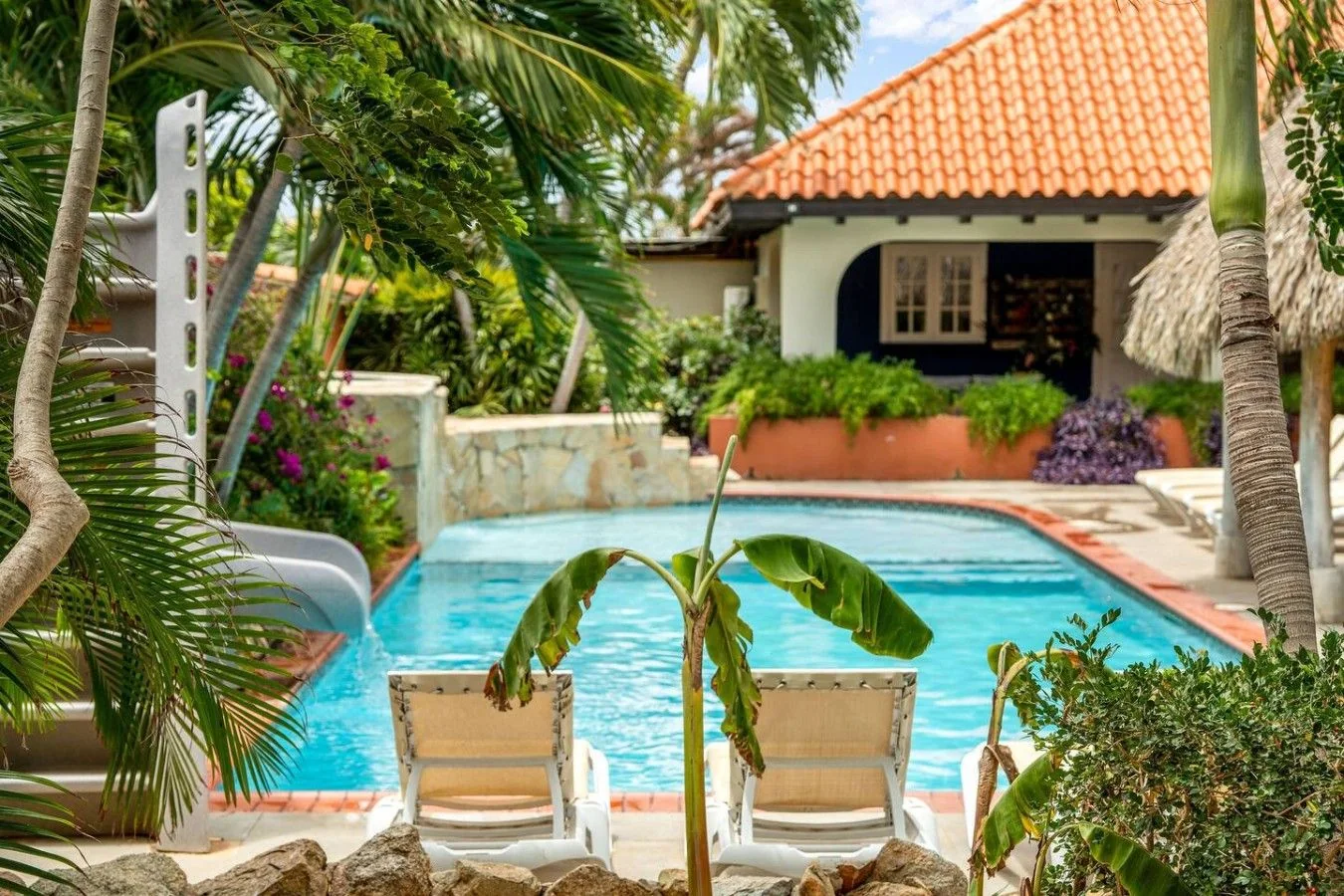 Banana plants growing beside the pool at Villa Nirvana Aruba