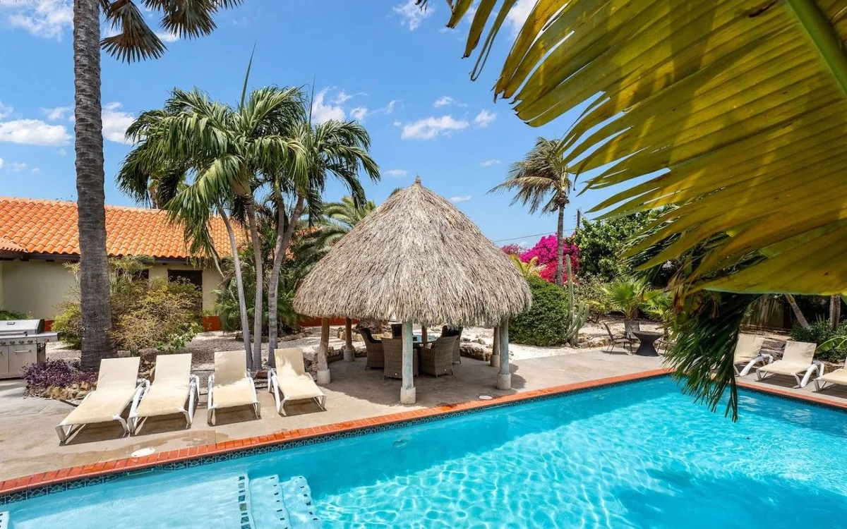 Coconut palm beside the pool and palapa at Villa Nirvana Aruba