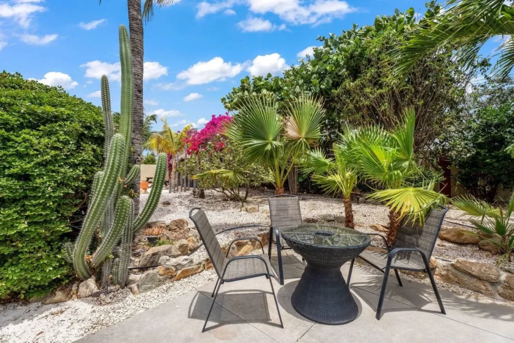 Tall columnar cactus in the dry tropical garden at Villa Nirvana Aruba