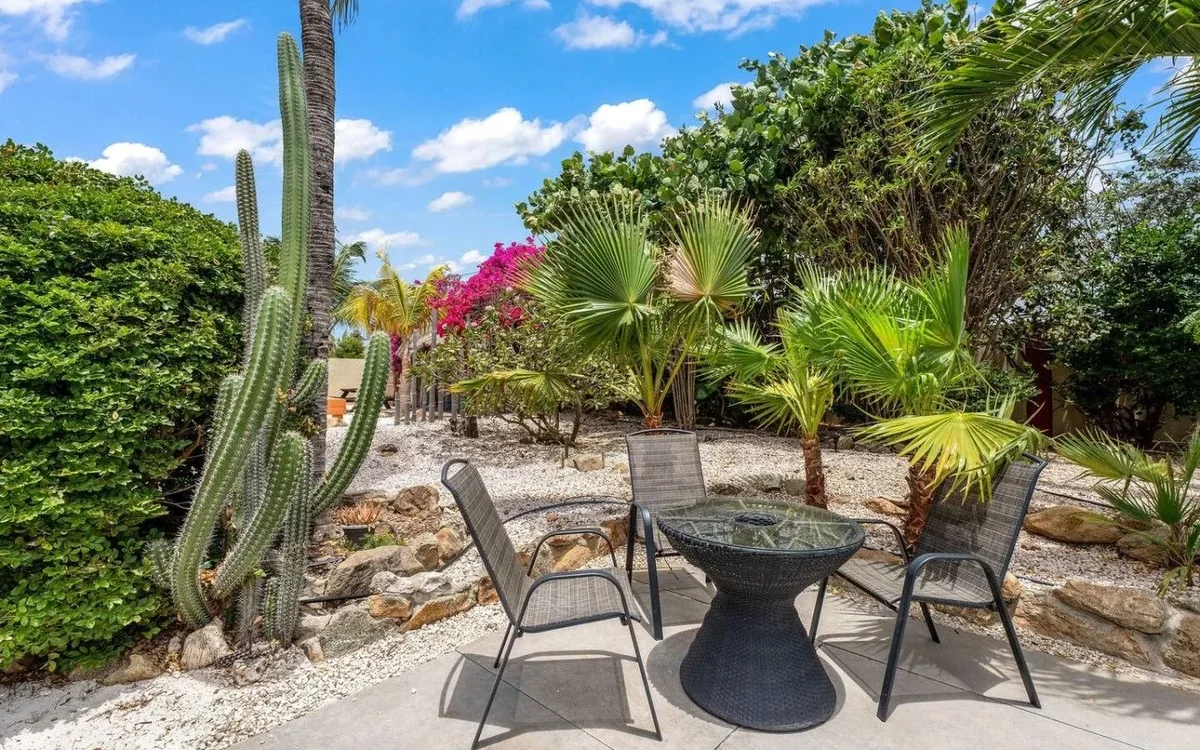 Tall columnar cactus in the dry tropical garden at Villa Nirvana Aruba