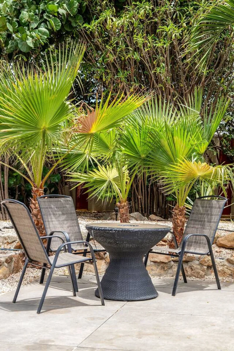 Small fan palms in a shaded seating corner at Villa Nirvana Aruba